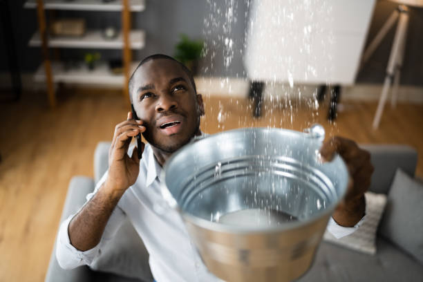 Best Water damage mitigation services  in Bryan, TX