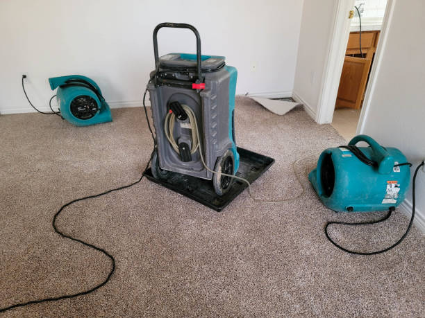 Best Mold removal after water damage  in Bryan, TX