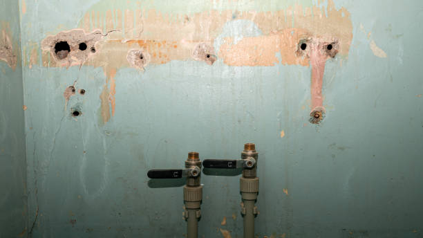 Best Carpet water damage restoration  in Bryan, TX