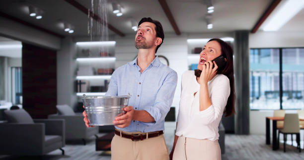 Best Ceiling water damage repair  in Bryan, TX