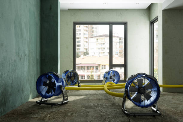 Best Professional water damage repair  in Bryan, TX